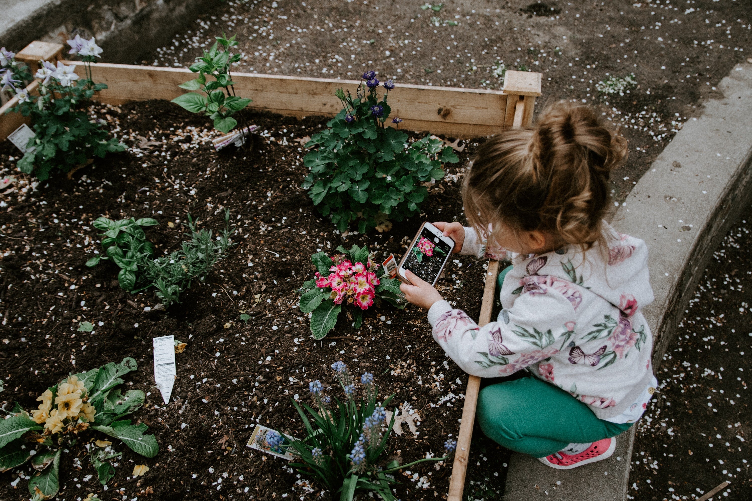 Kid-friendly, fun outdoor projects – Green Goo
